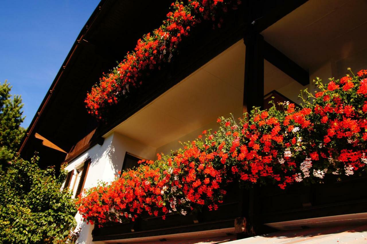 Pension Appartement Santl Anterselva di Sotto ภายนอก รูปภาพ
